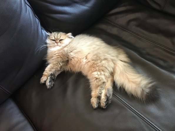 IMG_2889